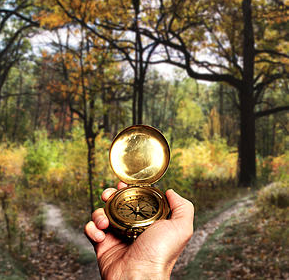 golden compass held in the woods